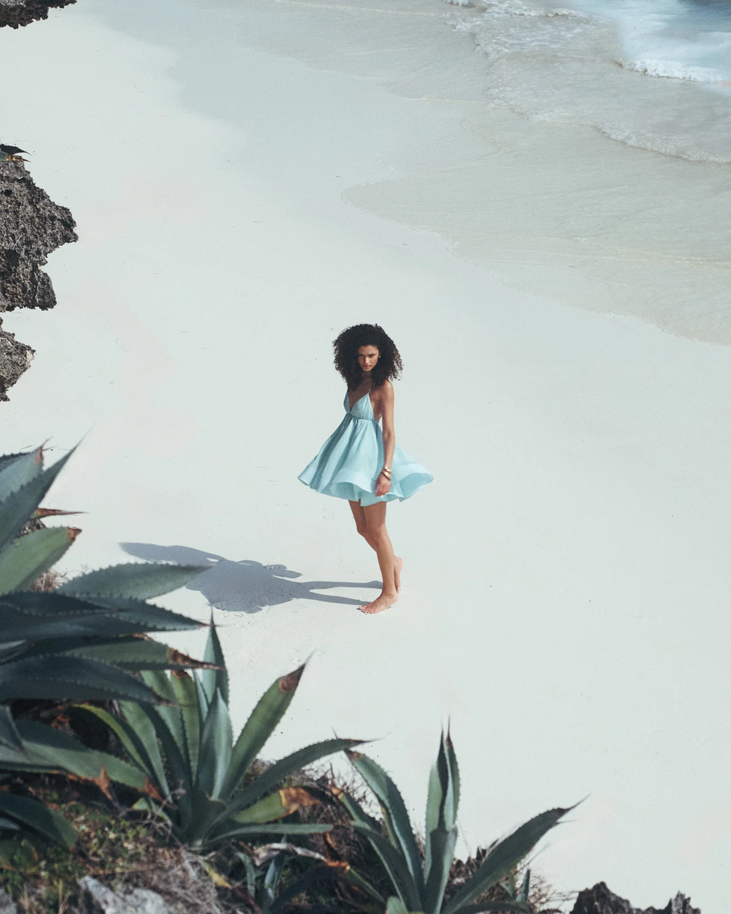 E'toile du Sud fleur - Image 8