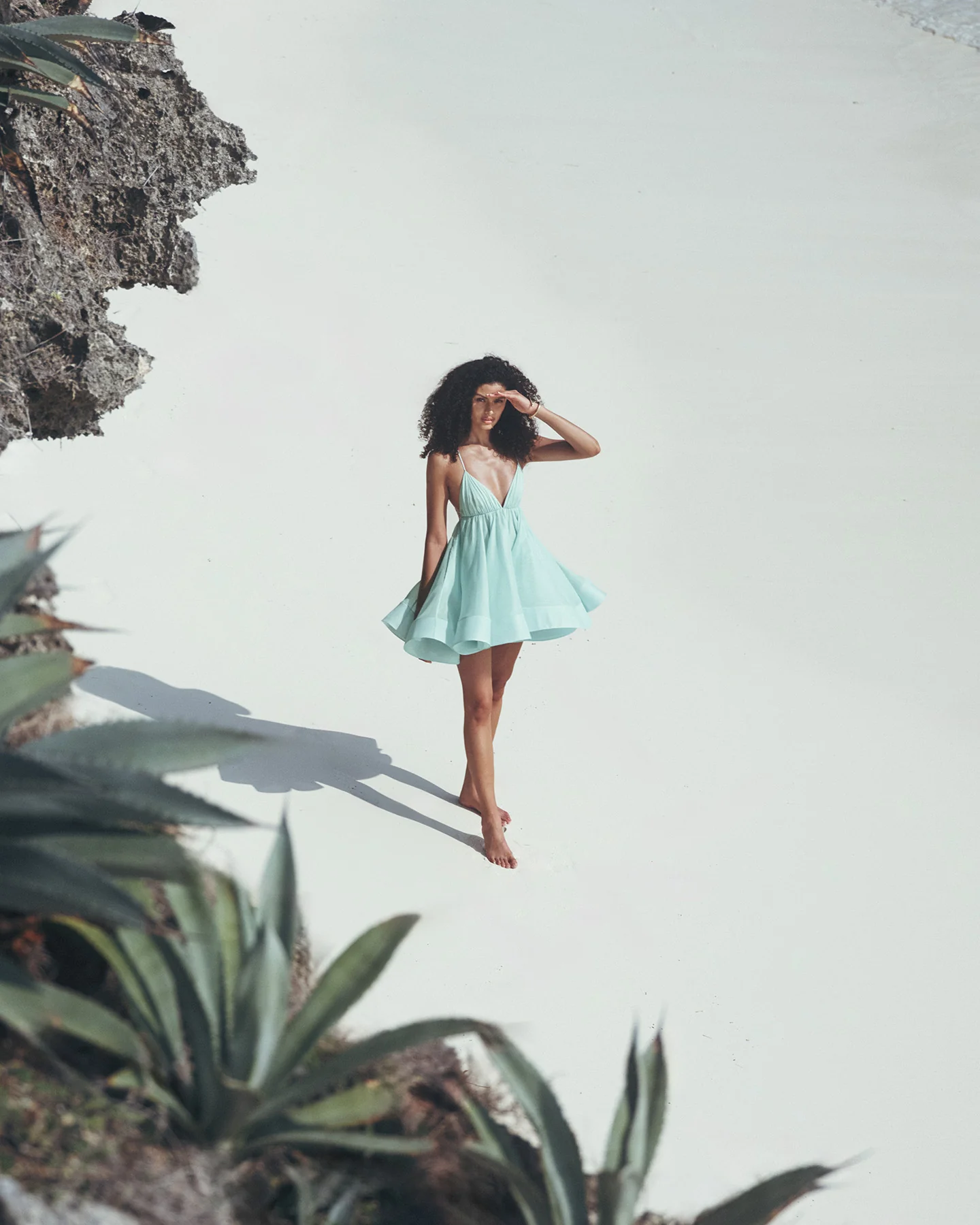 E'toile du Sud fleur - Image 9