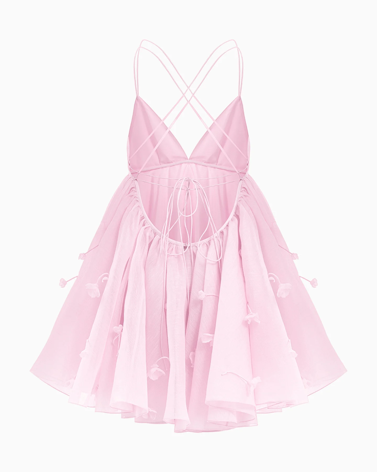 E'toile du Sud fleur - Image 3