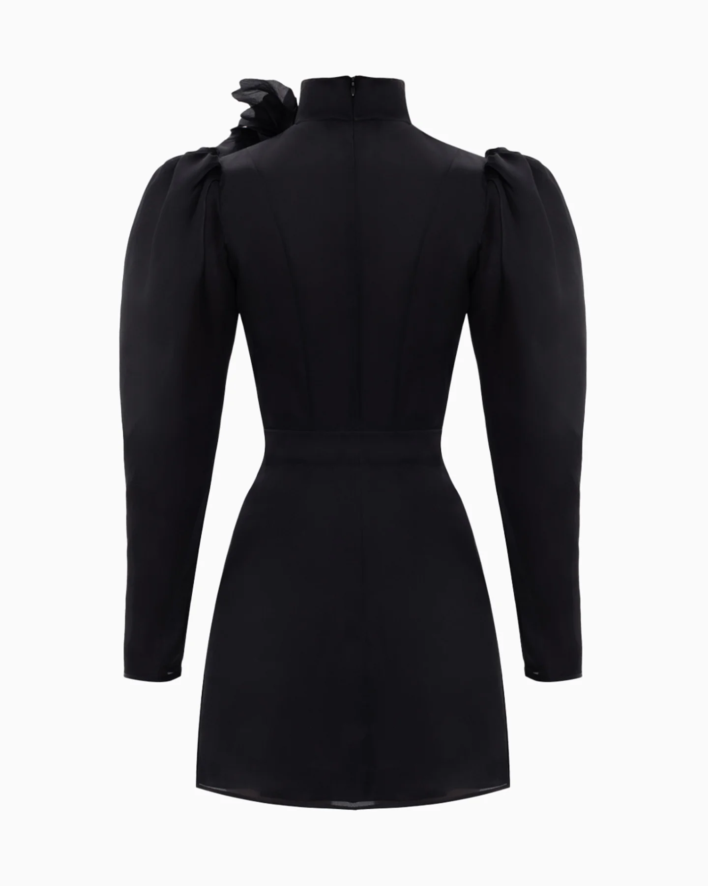 Gypsophila NOIR - Image 3