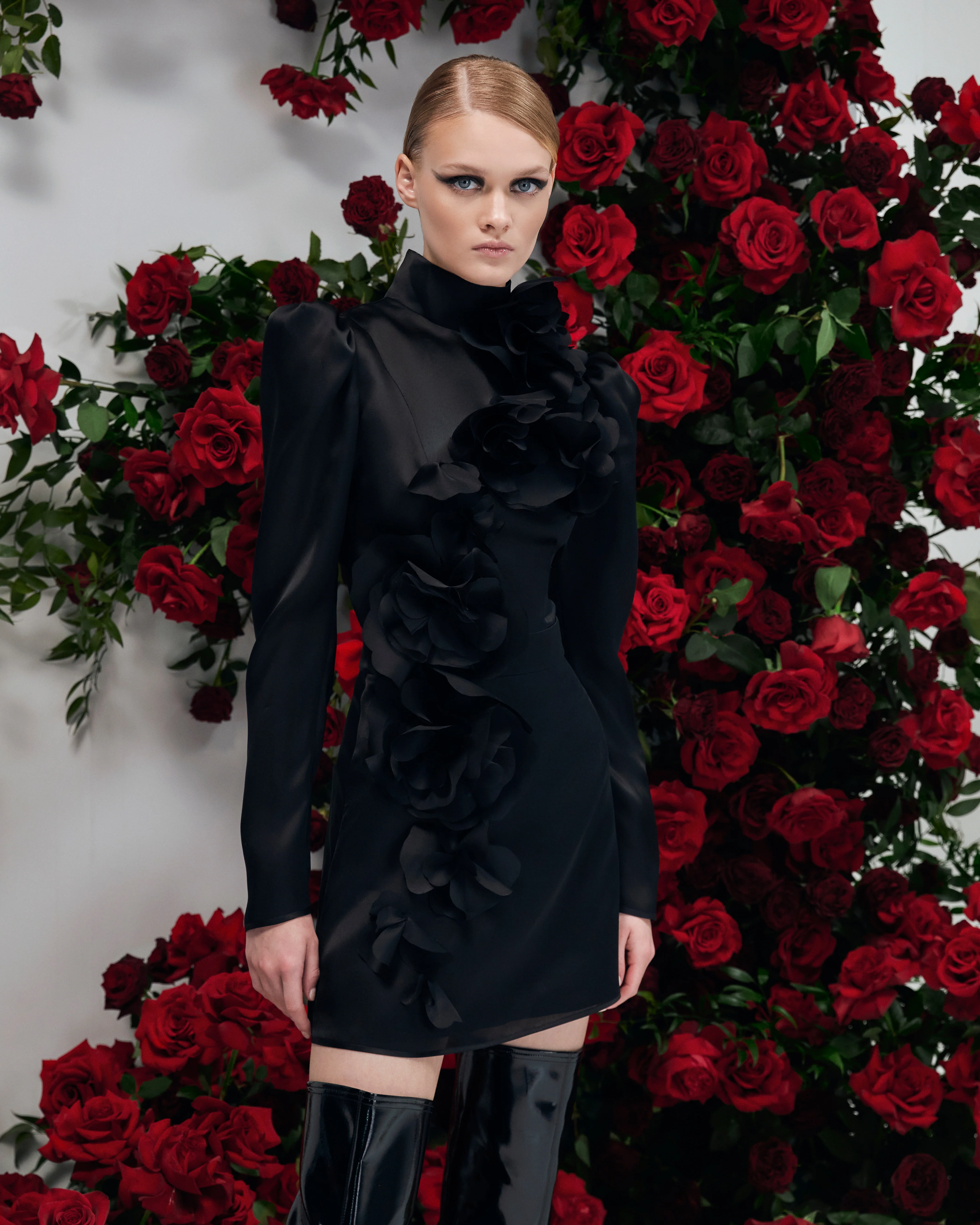 Gypsophila NOIR - Image 4