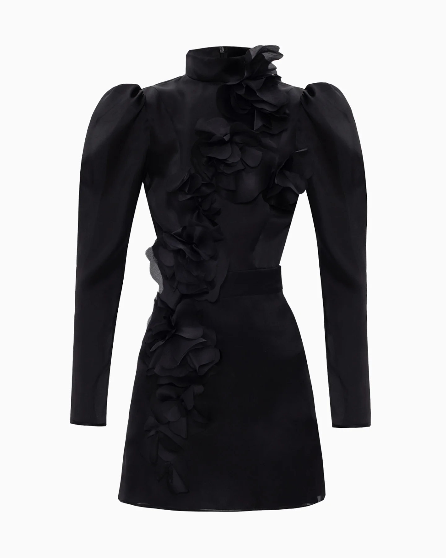 Gypsophila NOIR - Image 7