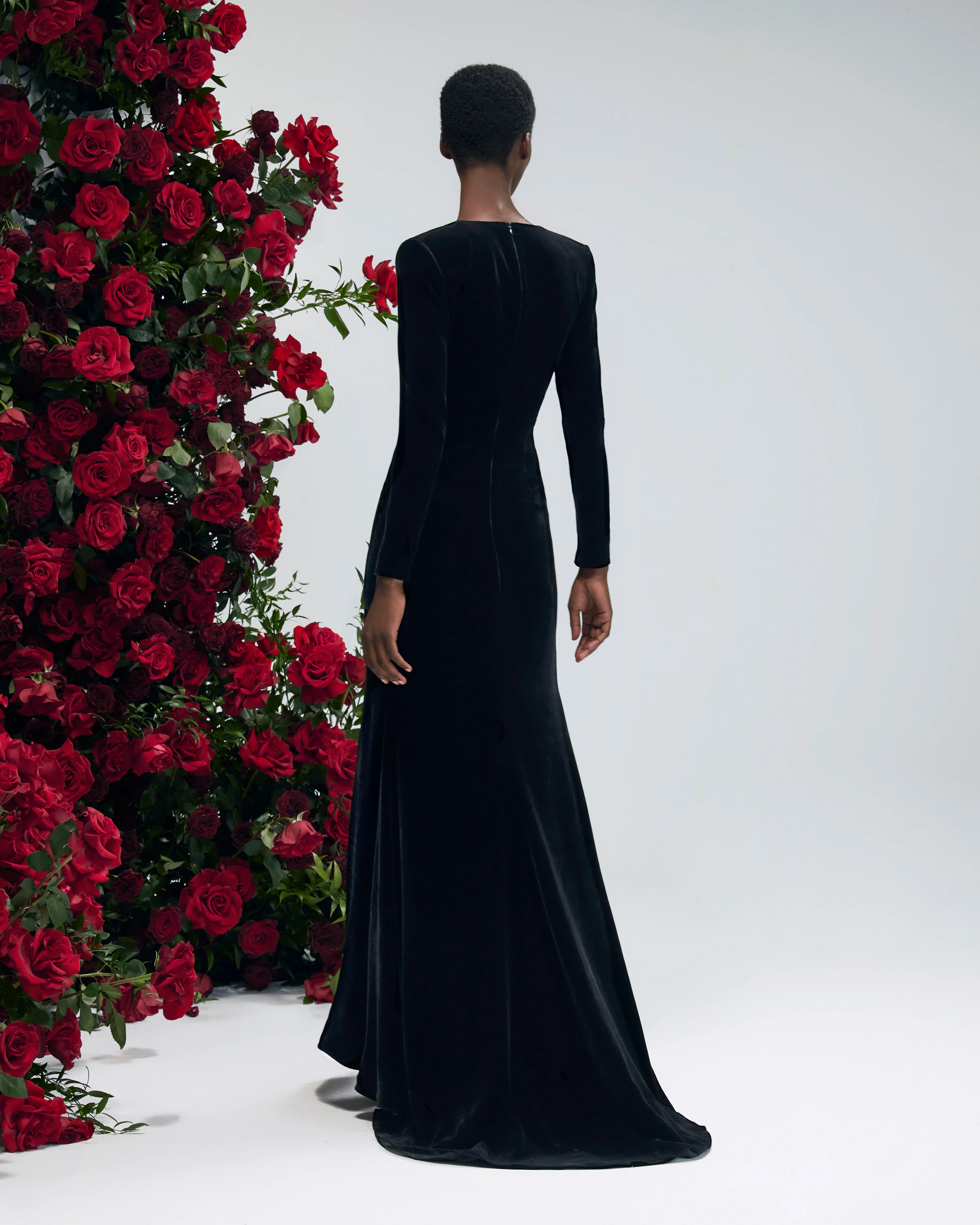 Lunaria Annua Noir - Image 4