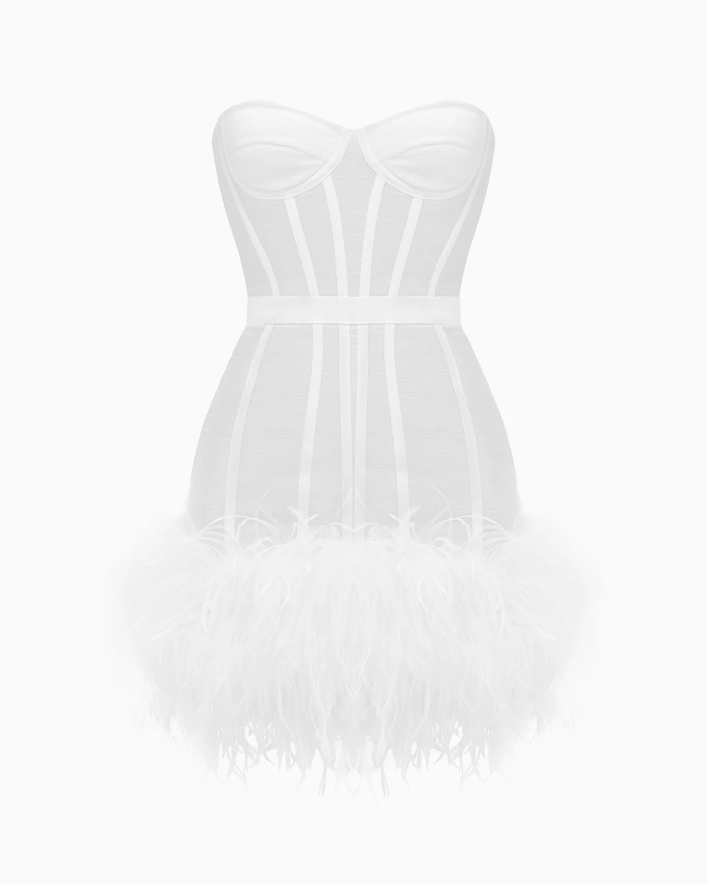 Magnolia Alexandrina - Image 11