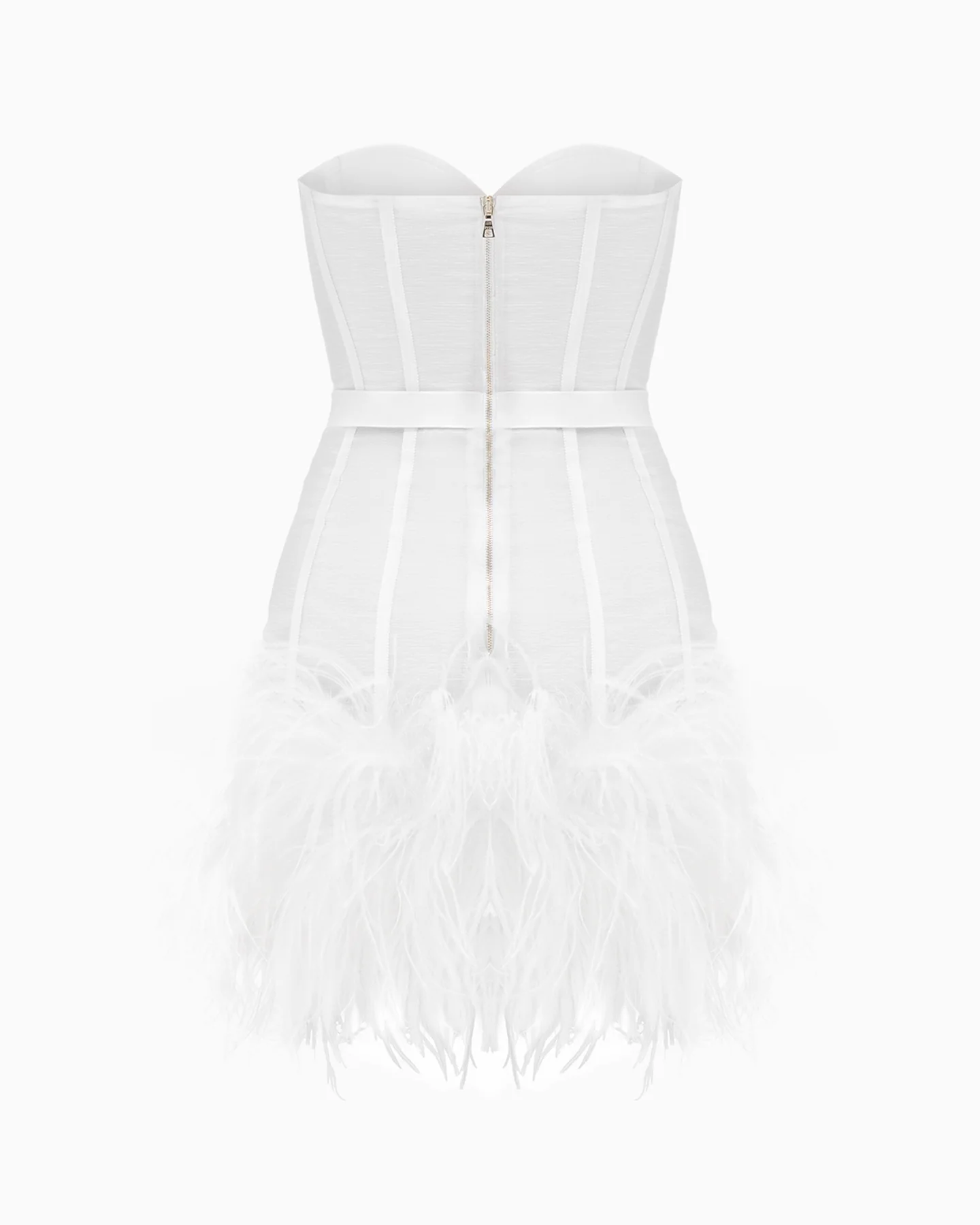 Magnolia Alexandrina - Image 3