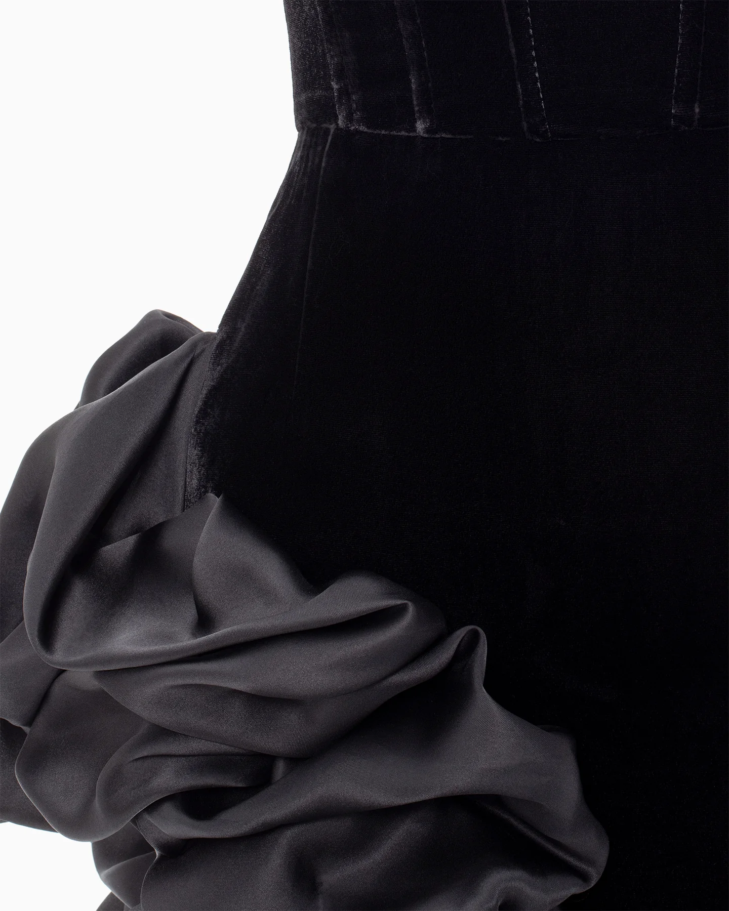 Matthiola Noir - Image 11