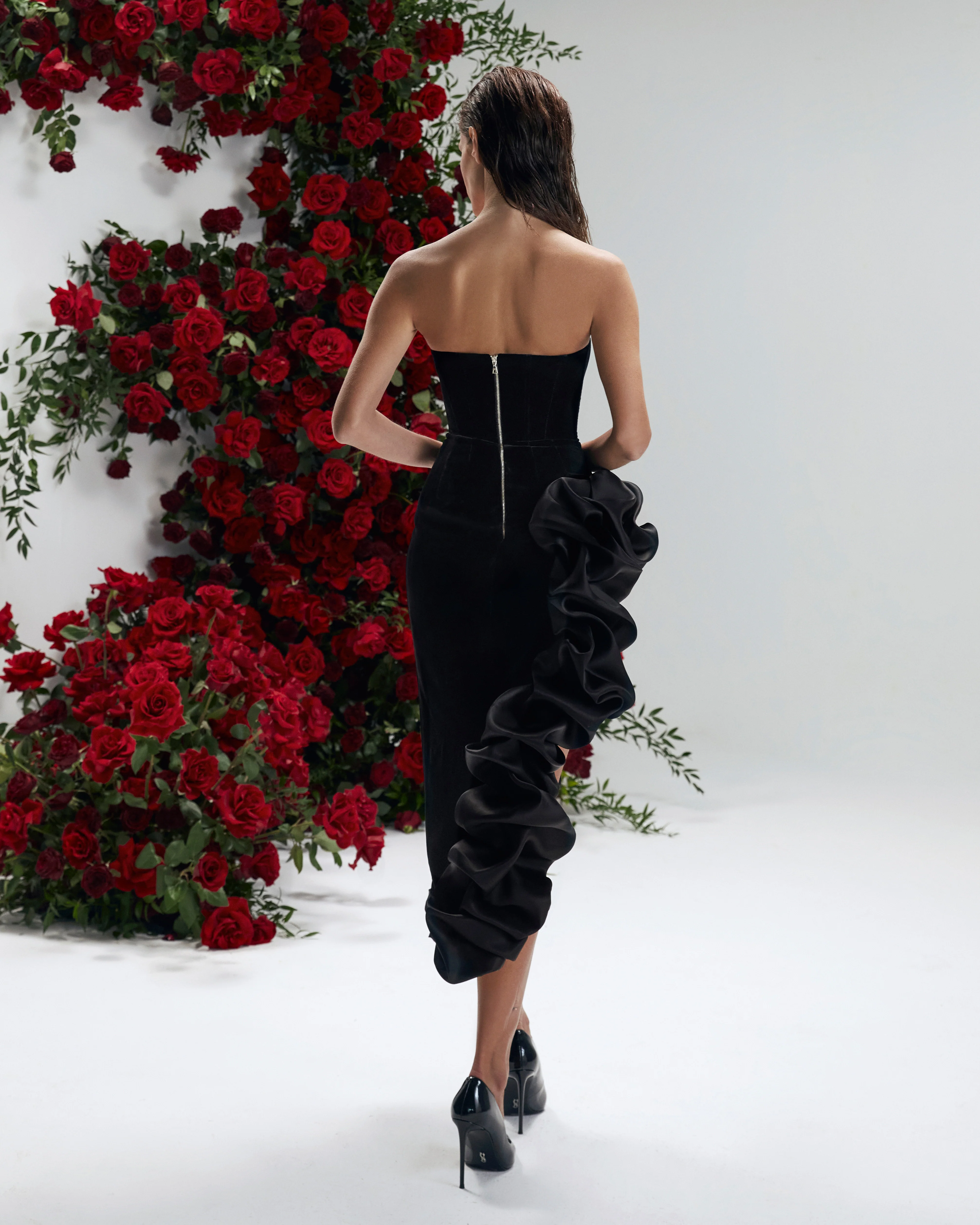 Matthiola Noir - Image 9