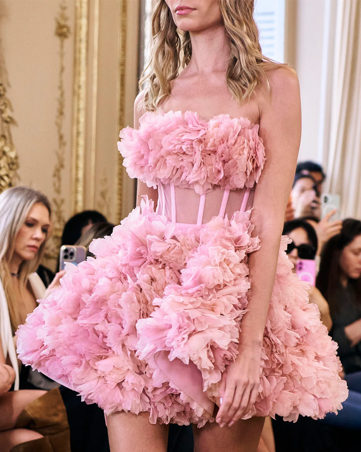 Ranunculus Charlotte - Image 4