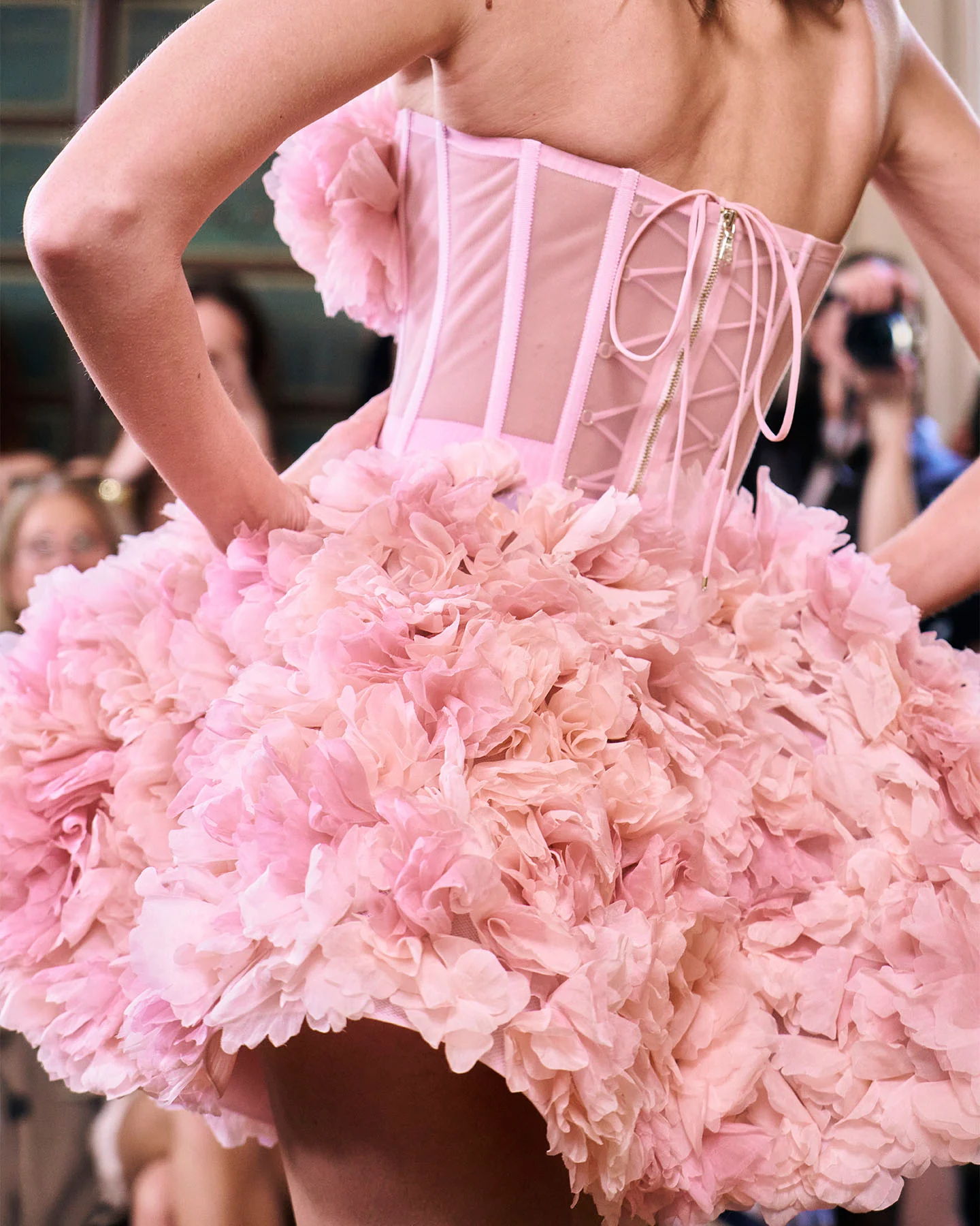 Ranunculus Charlotte - Image 5