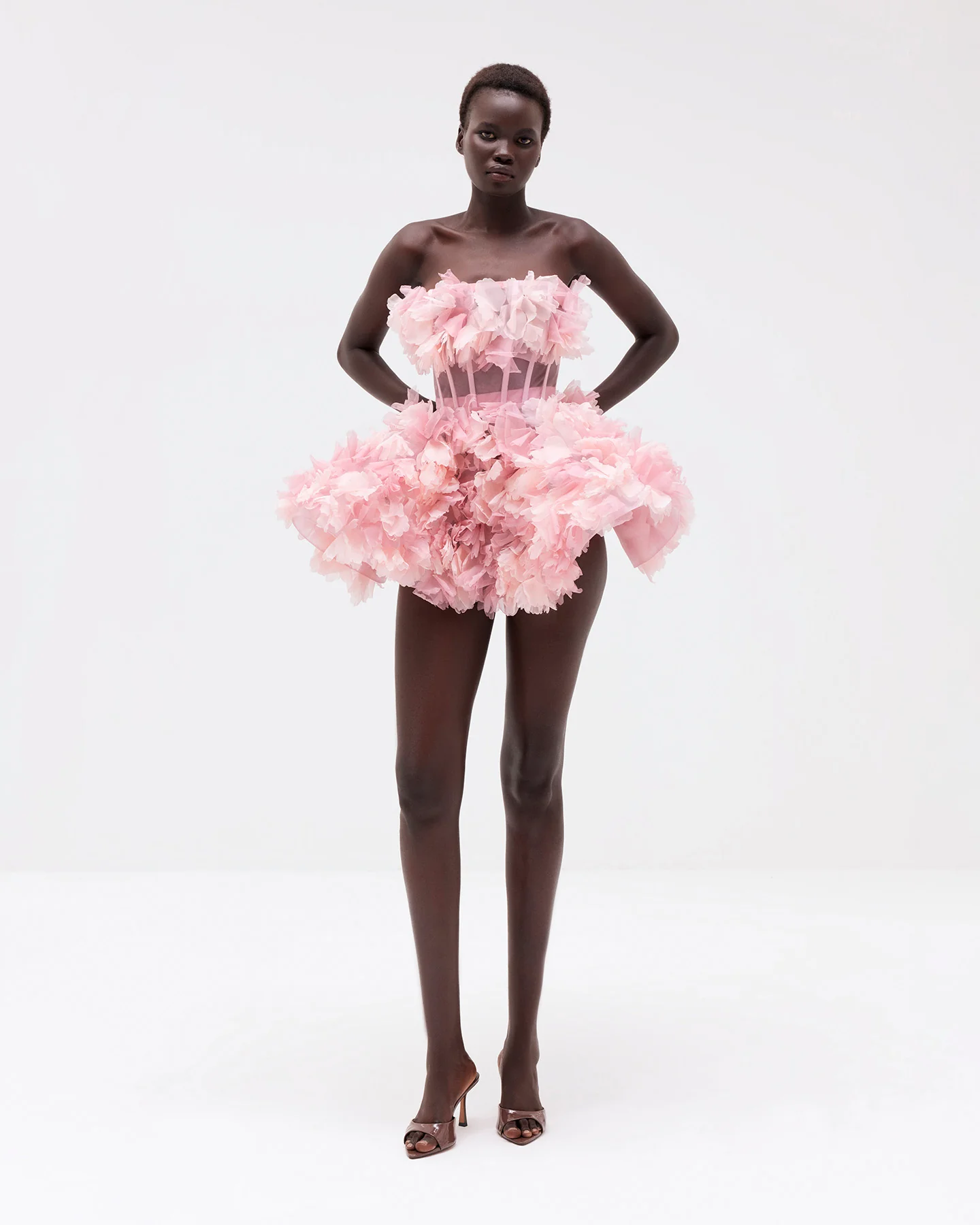 Ranunculus Charlotte - Image 6