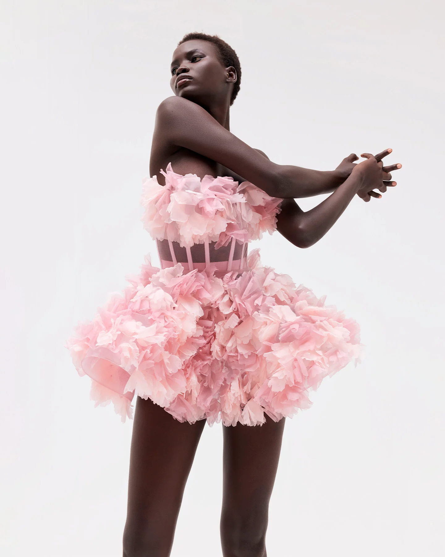 Ranunculus Charlotte - Image 7