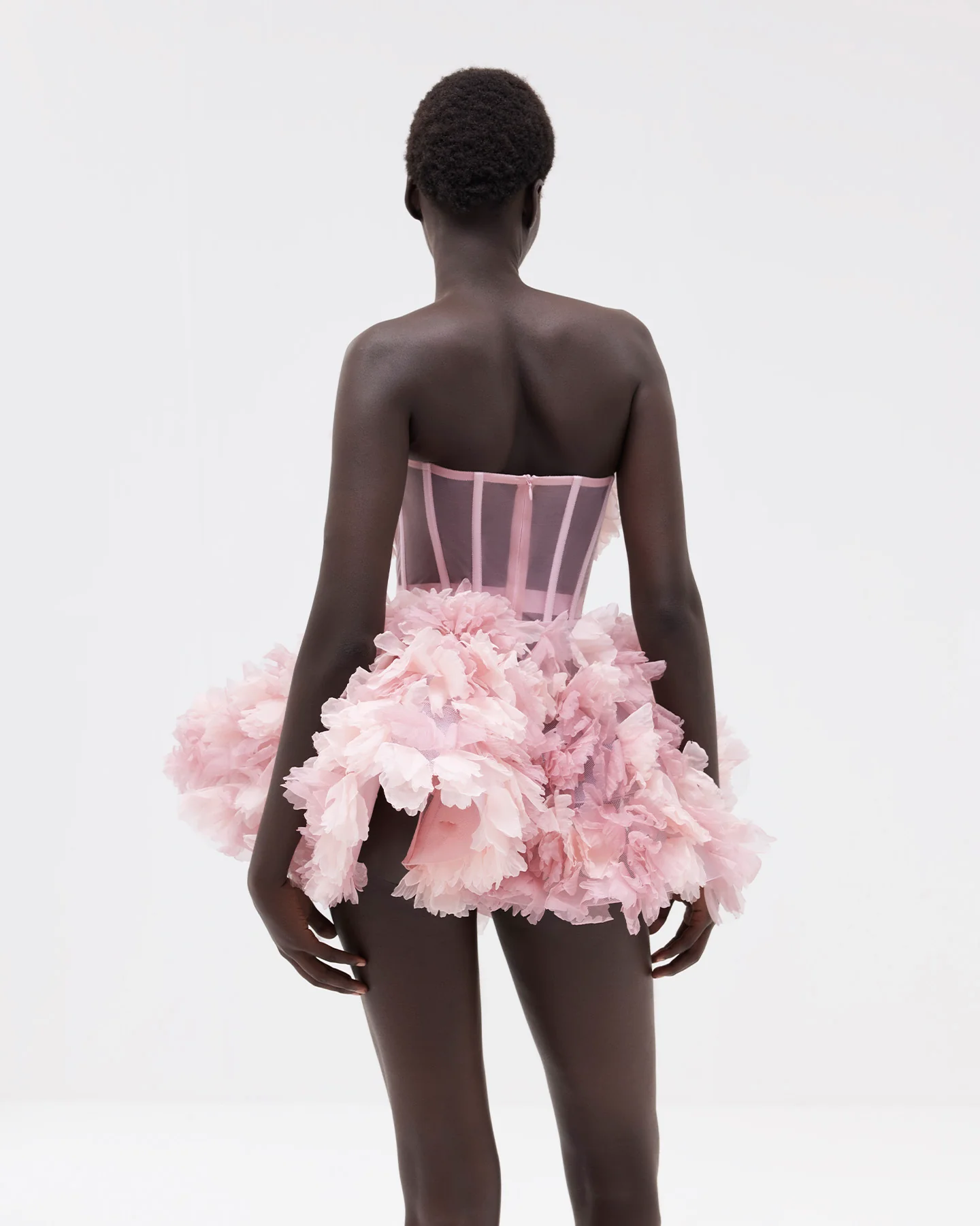 Ranunculus Charlotte - Image 8