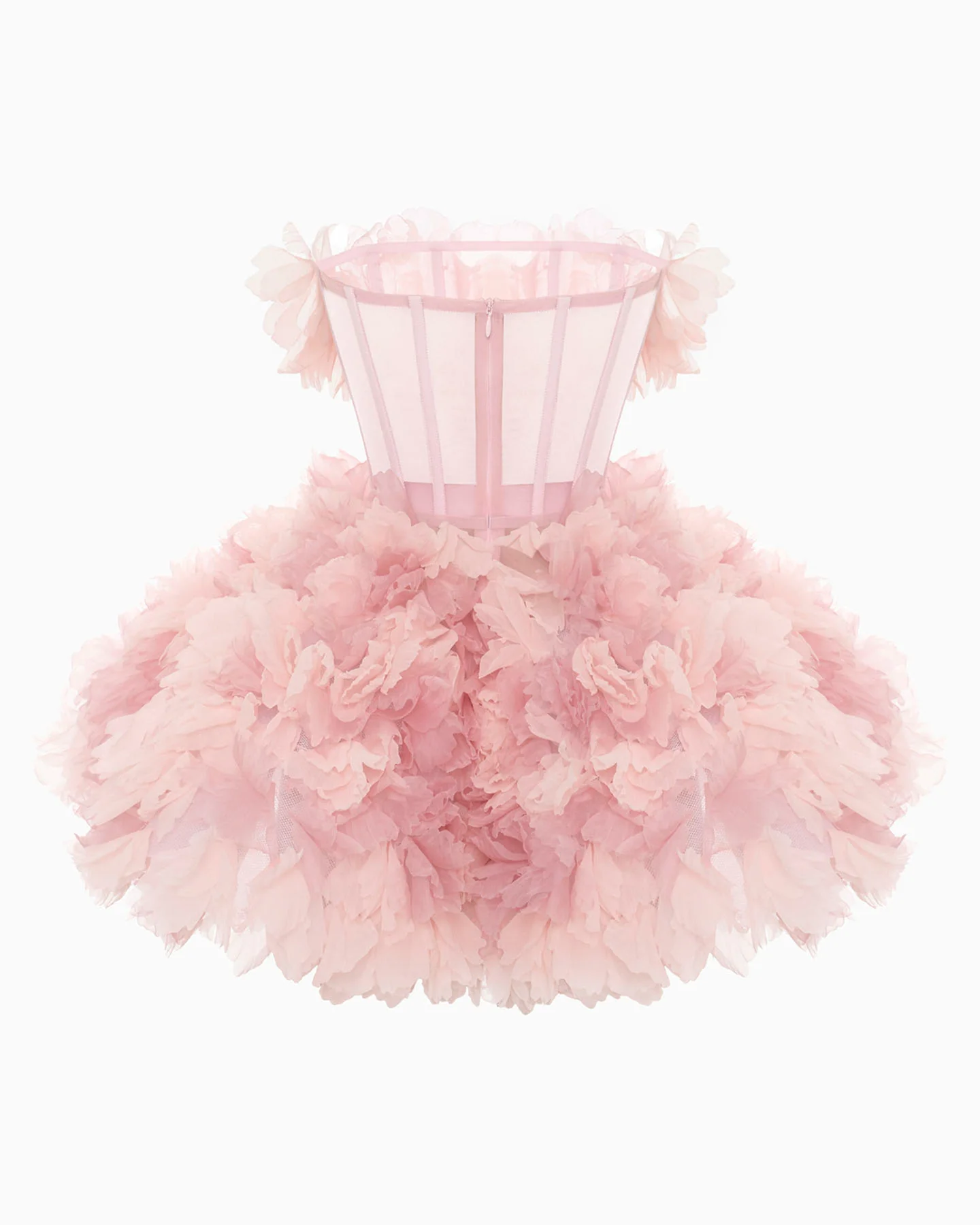 Ranunculus Charlotte - Image 9