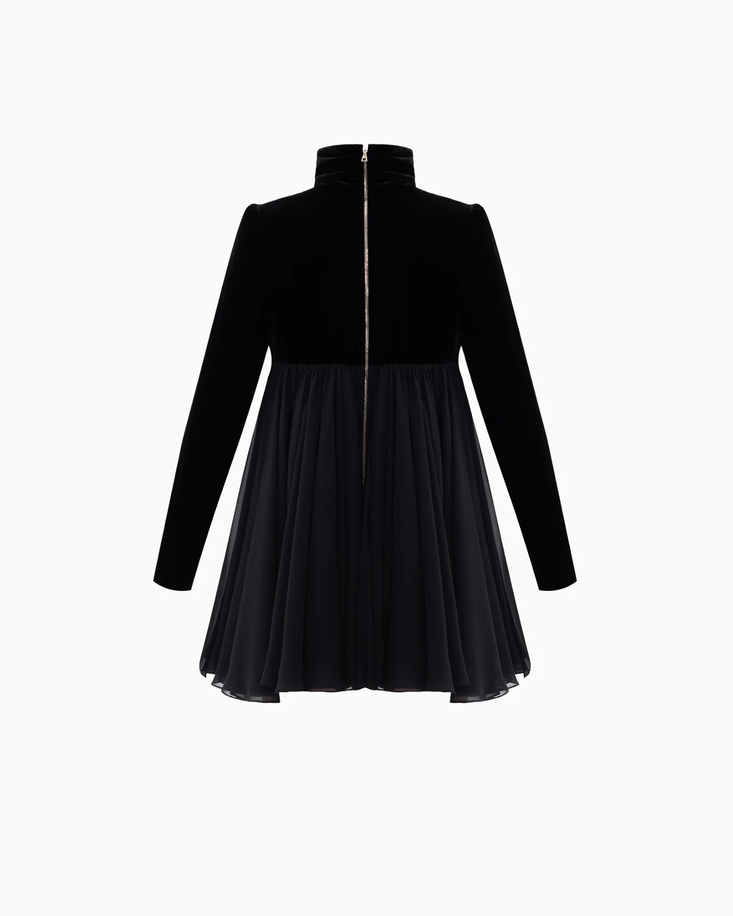 Reine Marguerite Noir - Image 3