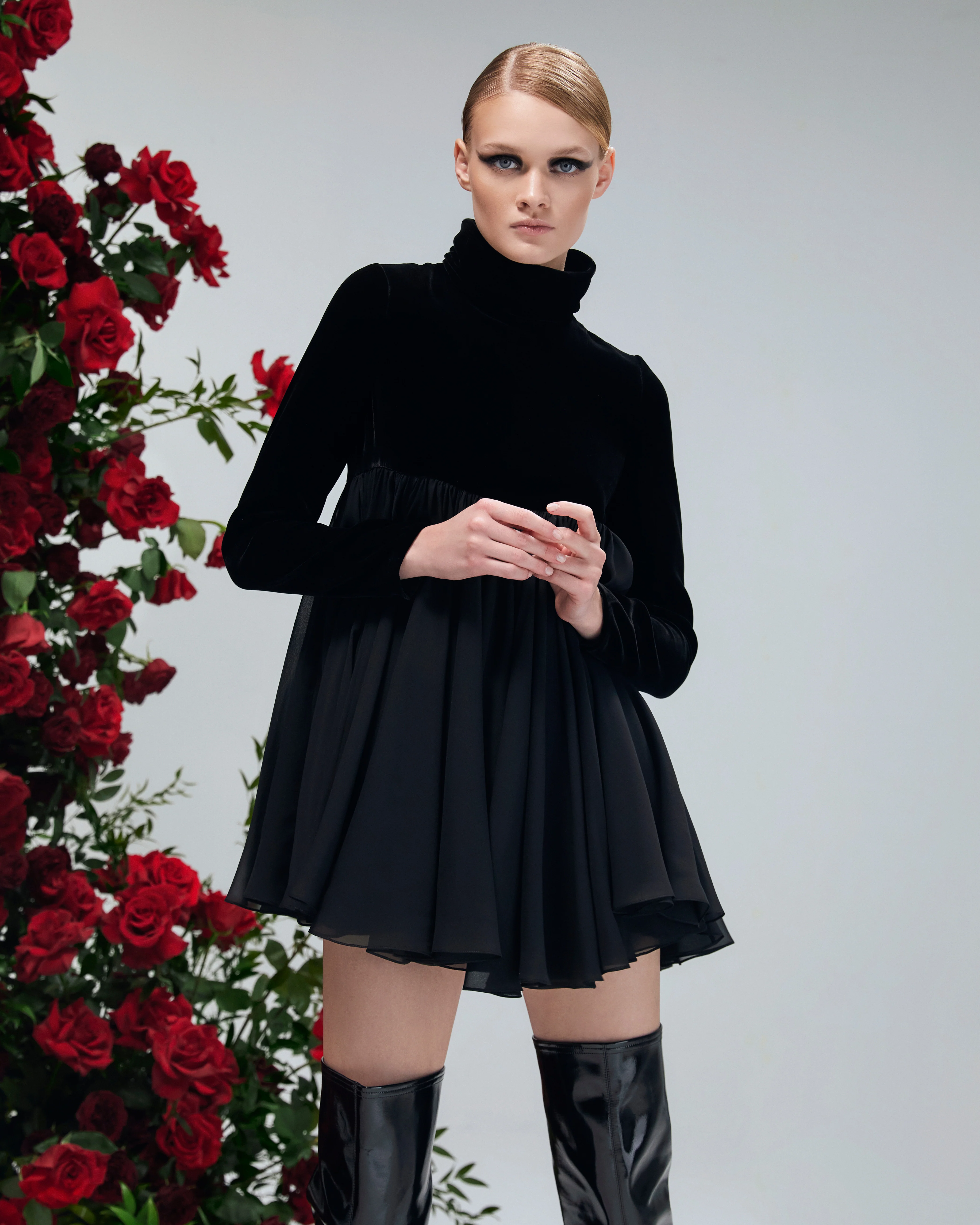 Reine Marguerite Noir - Image 5