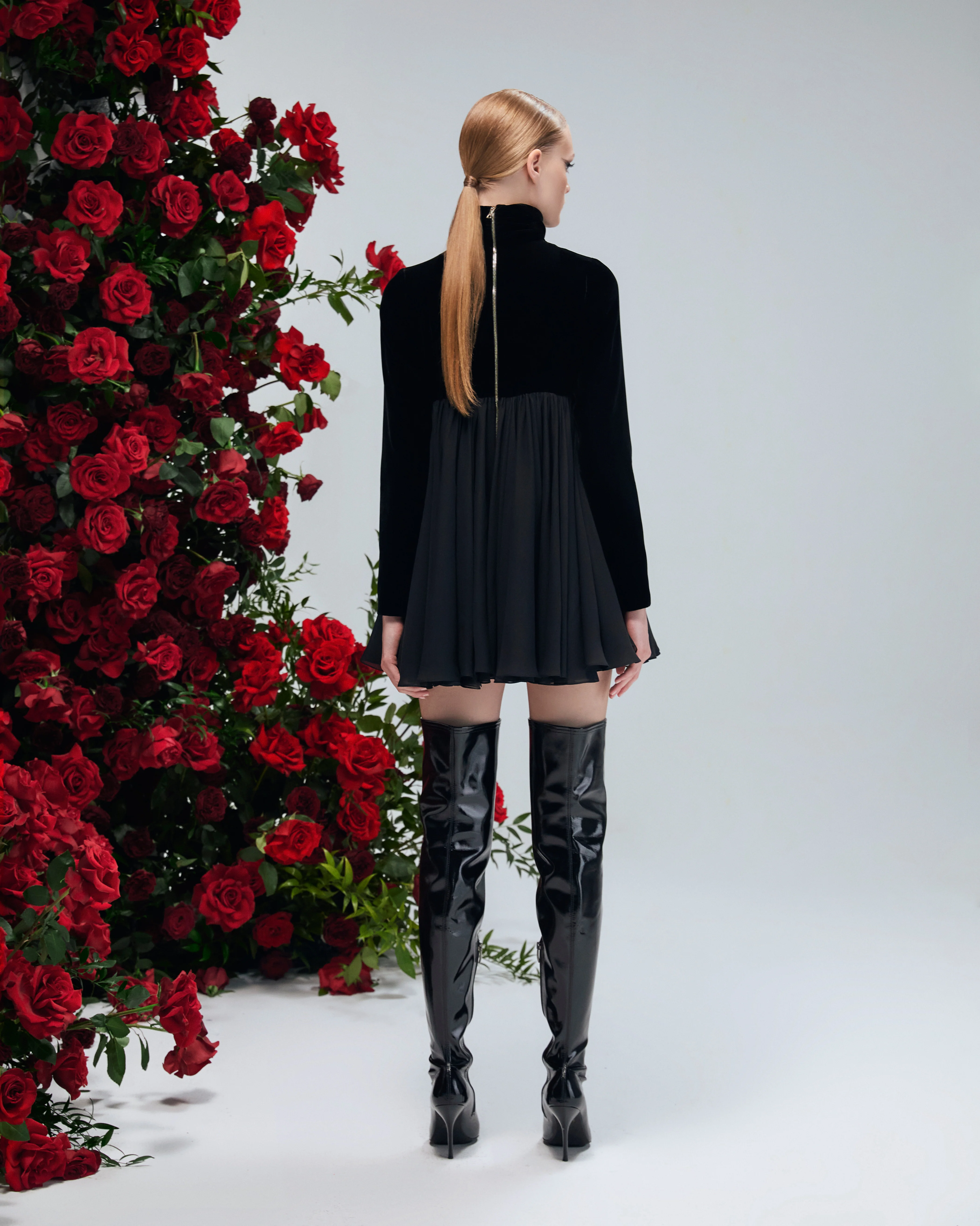 Reine Marguerite Noir - Image 6