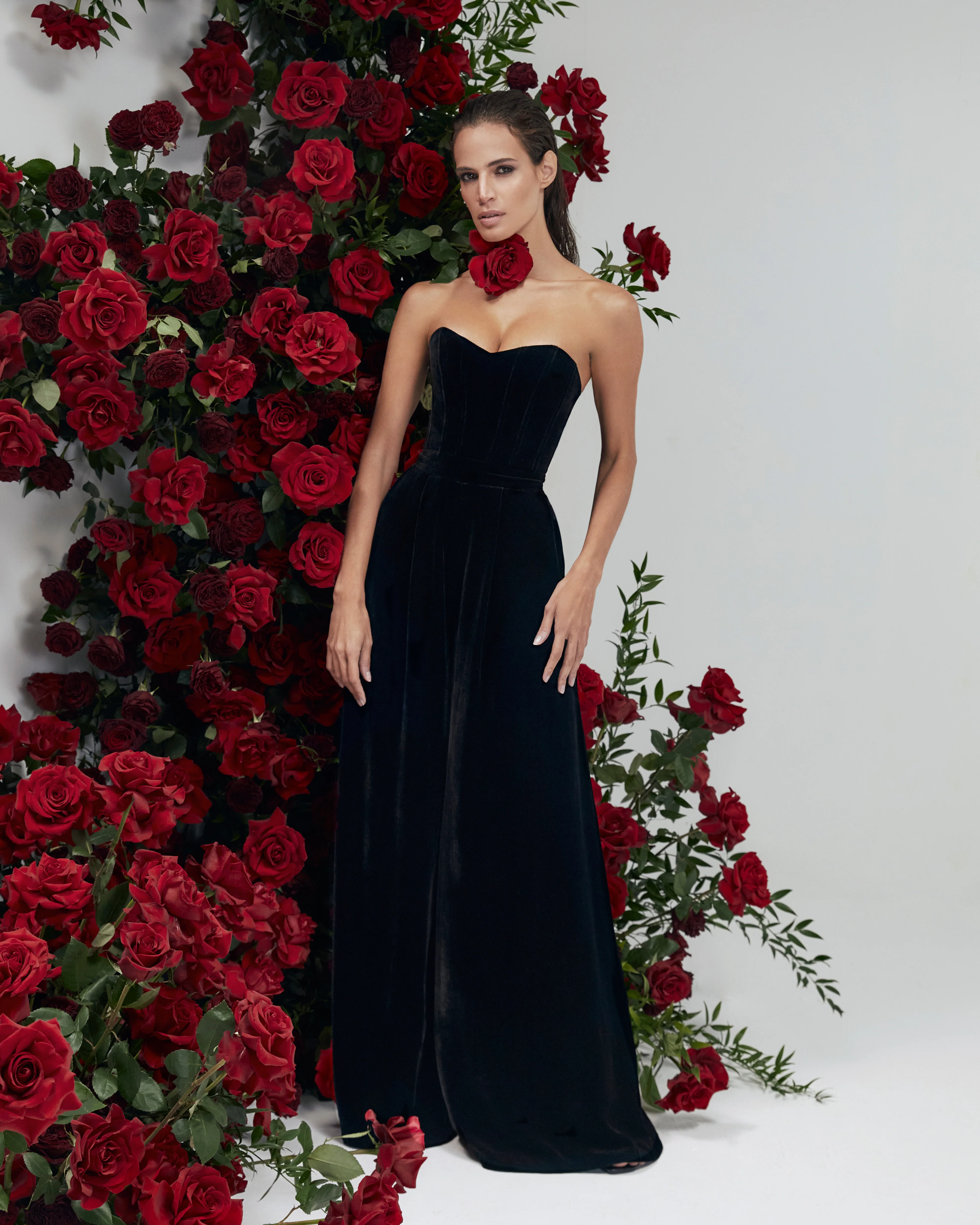 Rudbeckia Noir - Image 11