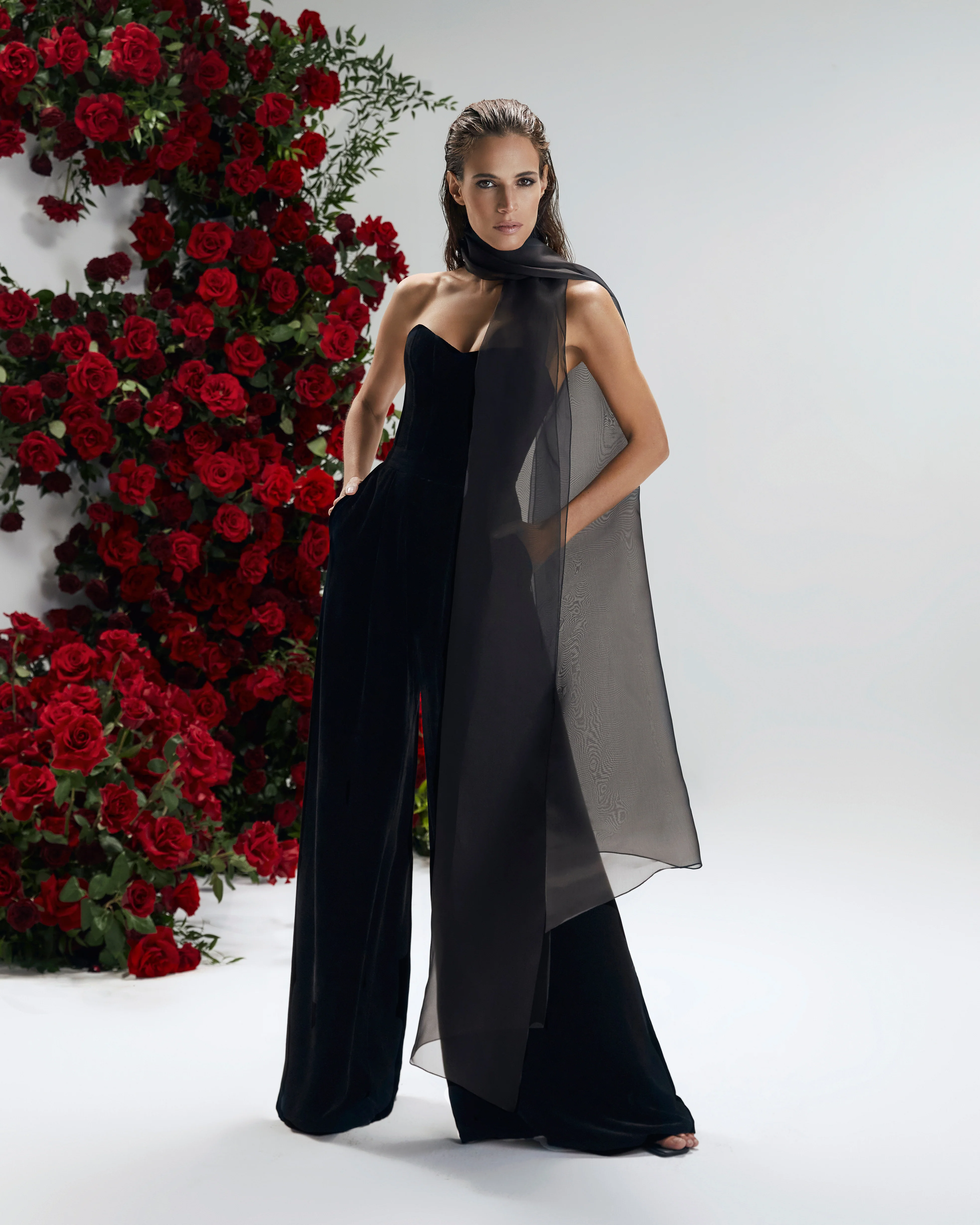 Rudbeckia Noir - Image 8