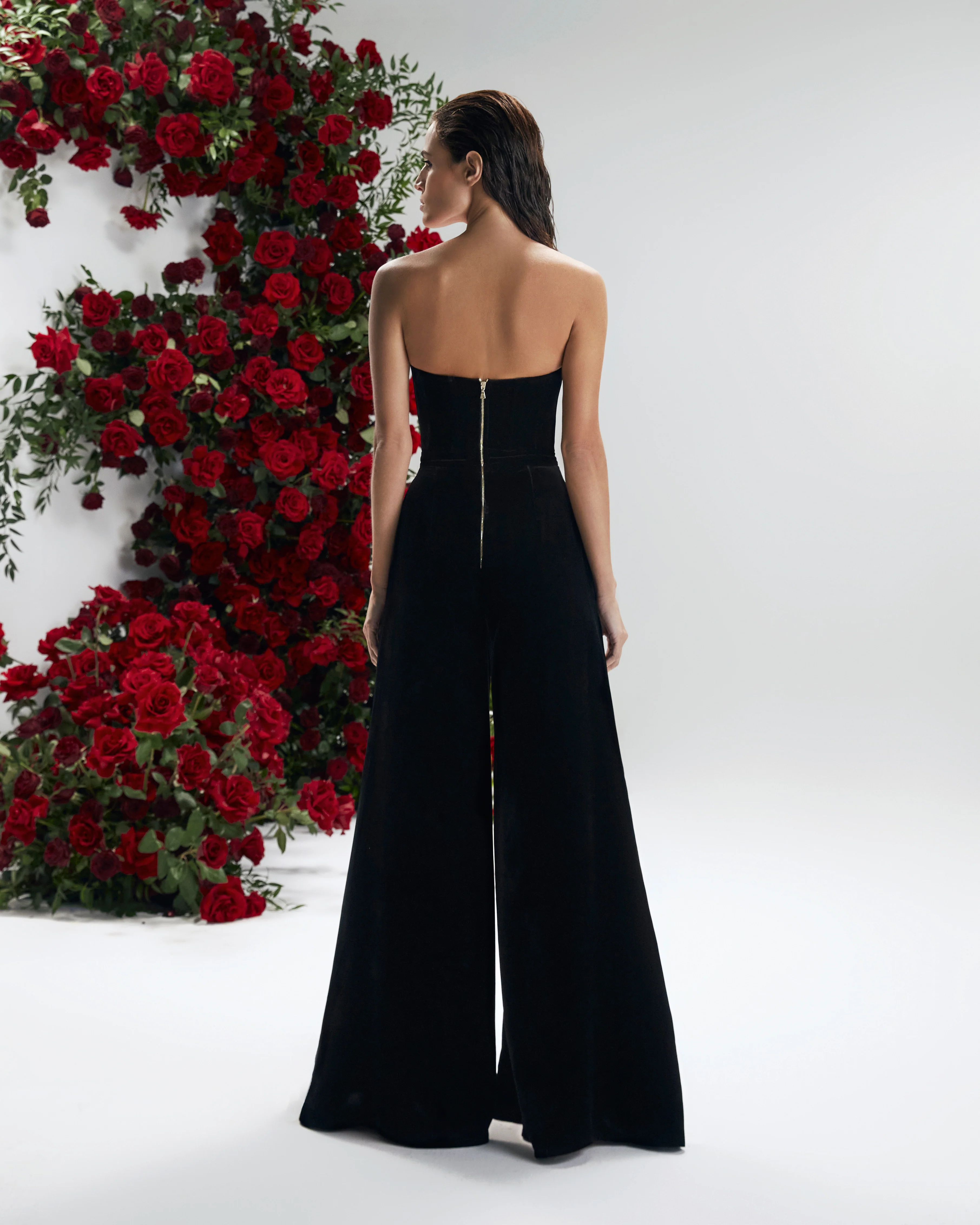 Rudbeckia Noir - Image 9