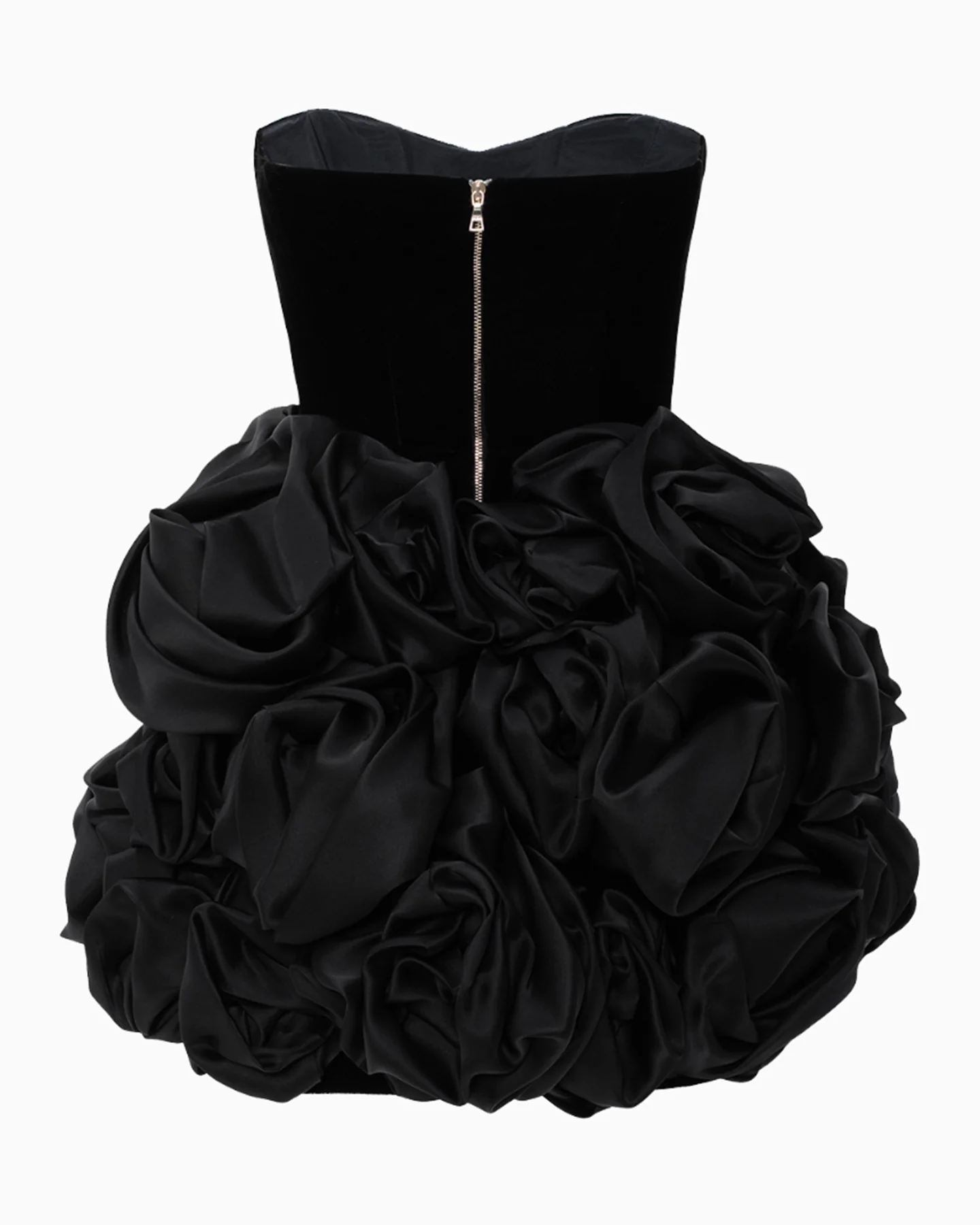 Zinnia Noir - Image 3