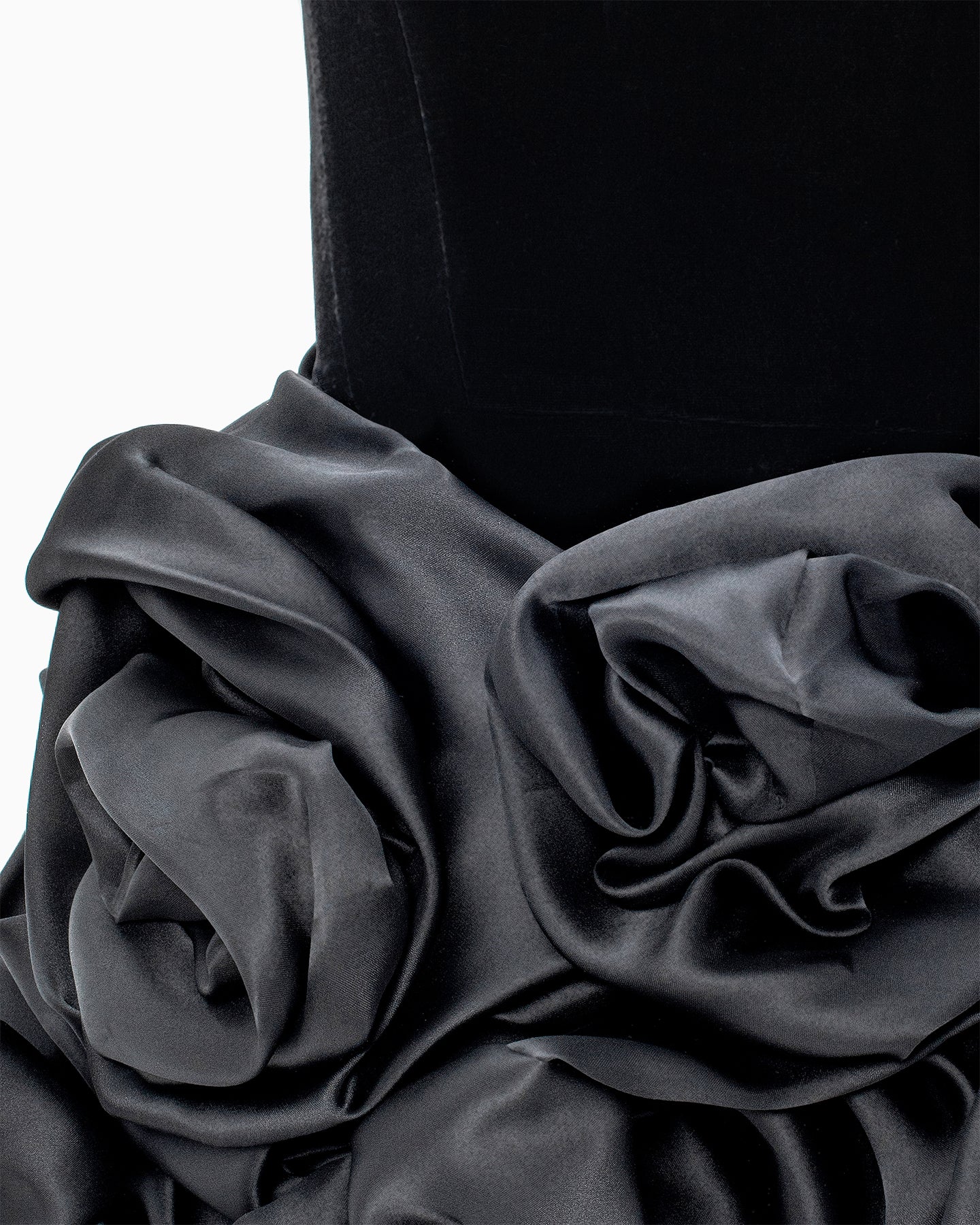 Zinnia Noir - Image 6