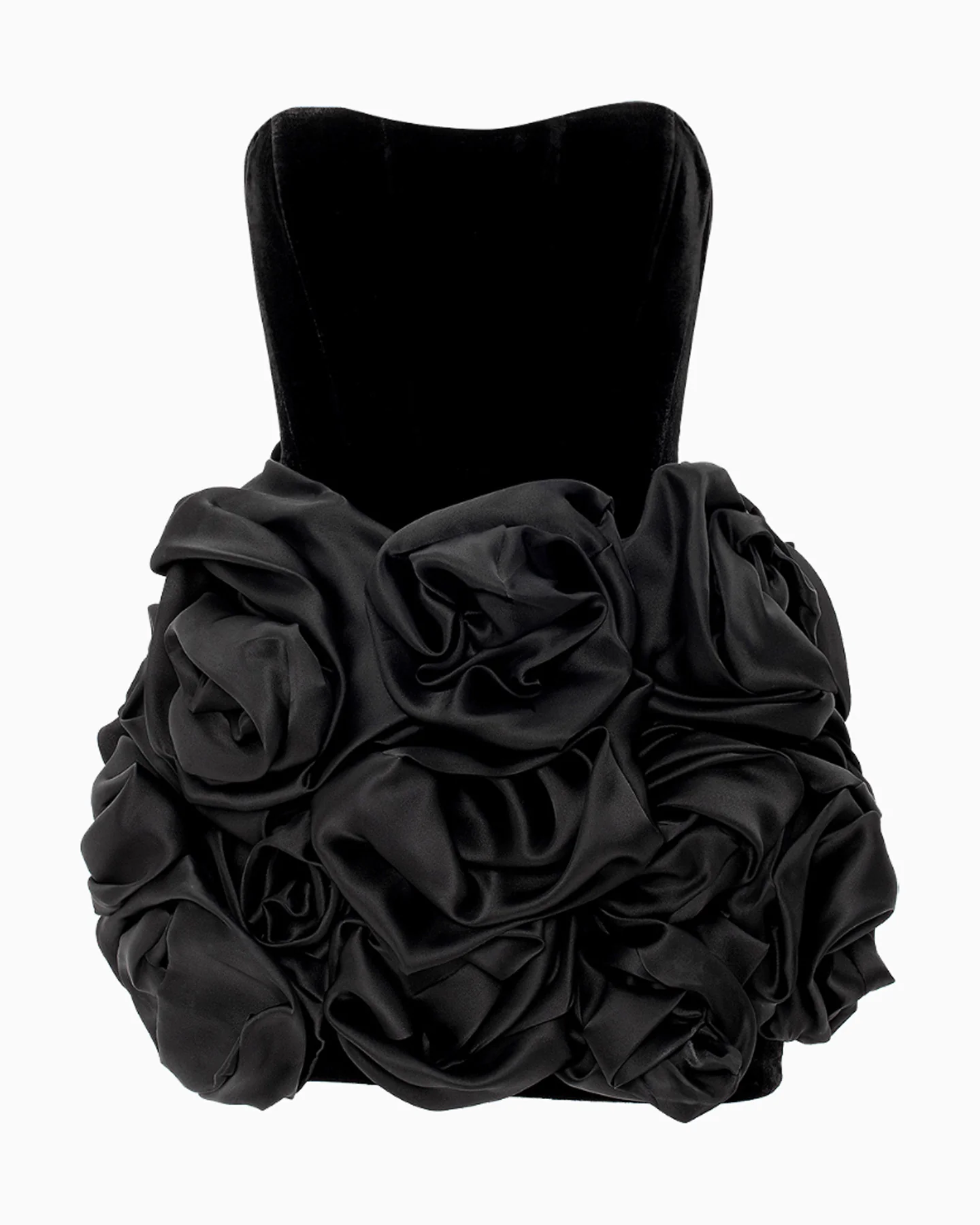 Zinnia Noir - Image 9